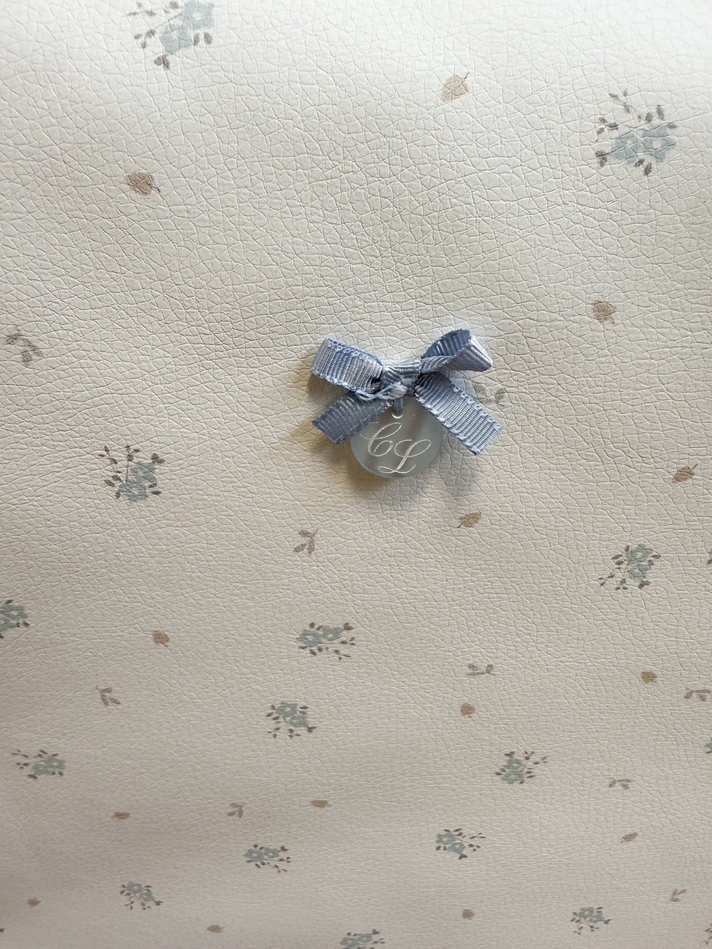 Travel Bag Clea